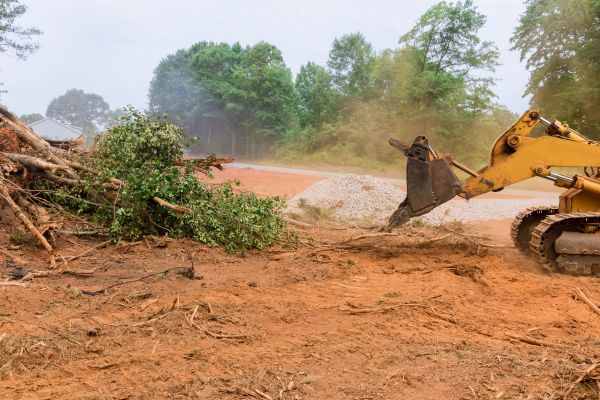 Cost of Ground Clearing in Rocky Mount