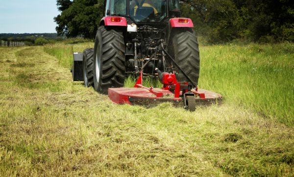 Cost of Brush Clearing Service in Rocky Mount
