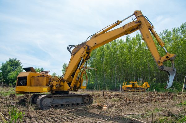 Cost of Farm Clearing in Rocky Mount