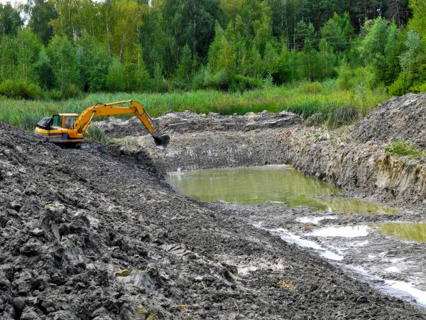 Cost of Lake Lot Clearing in Rocky Mount