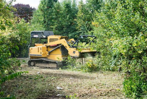 Cost of Pathway Clearing in Rocky Mount