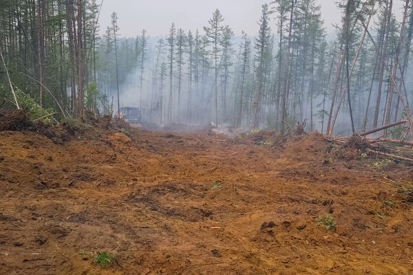 Cost of Hill Clearing in Rocky Mount
