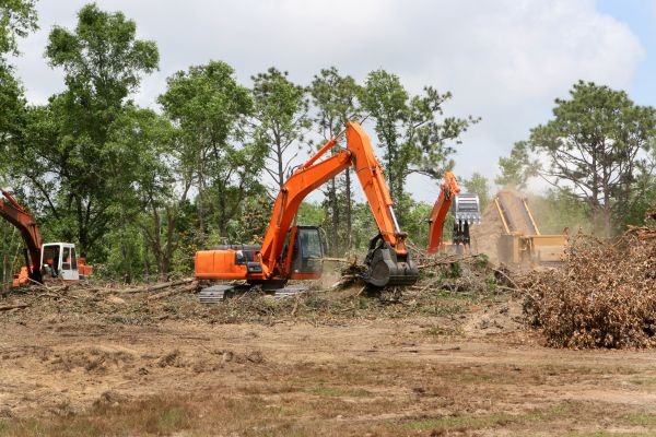 Cost of Commercial Lot Clearing in Rocky Mount