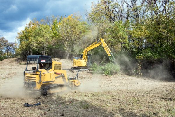 Cost of Terrain Clearing in Rocky Mount