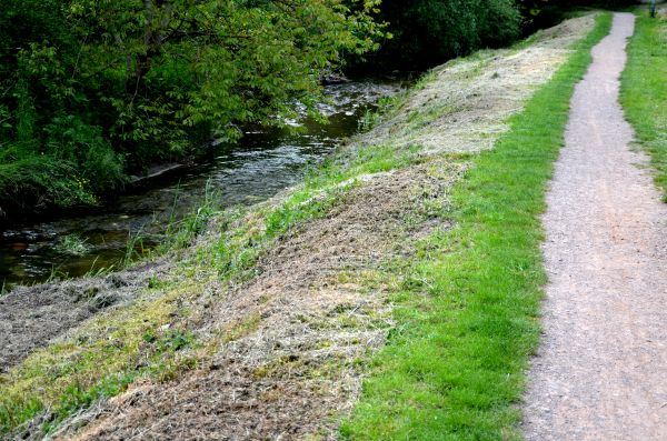 Cost of Trail Cutting in Rocky Mount