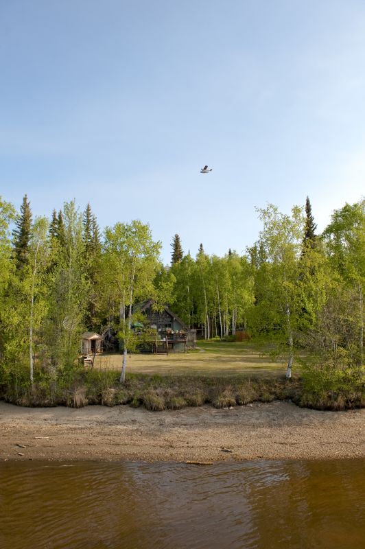 Products For Land Clearings in use